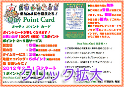 Otty Point Card �ē��|�b�v